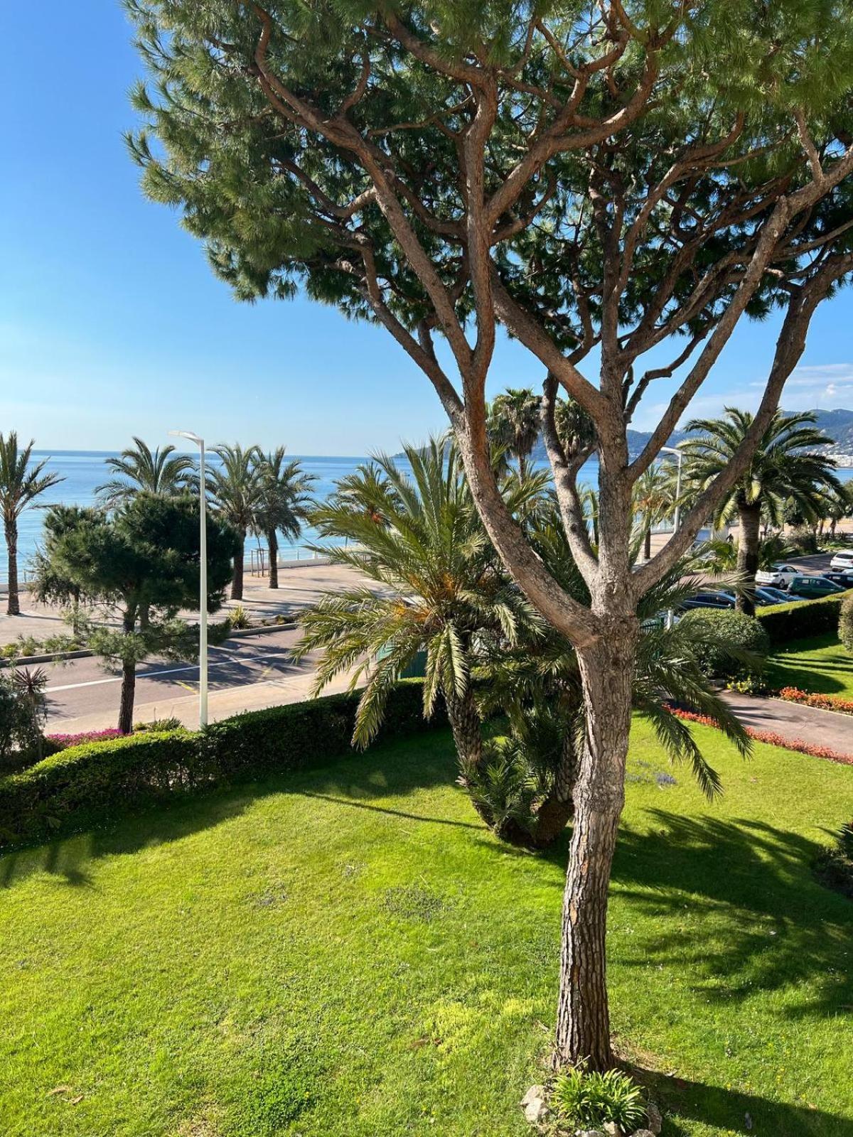 Cnossos Yourhosthelper Cannes Bagian luar foto